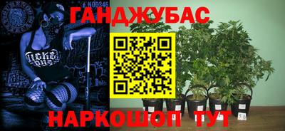 прущие крисы Кулебаки