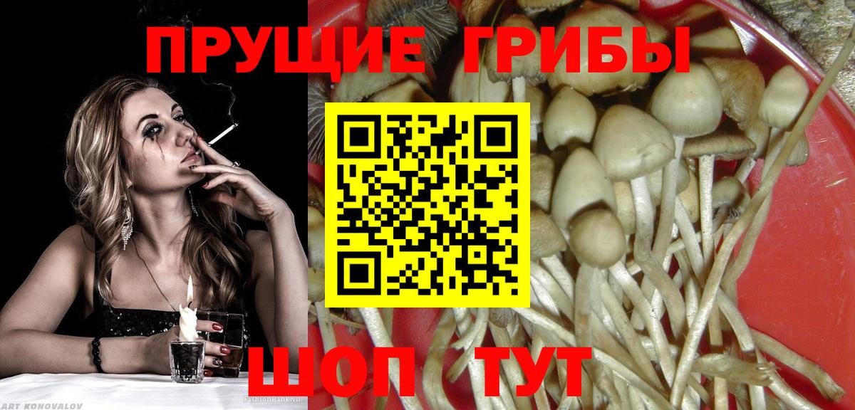 Псилоцибиновые грибы Magic Shrooms  Вход с VPN  Ивантеевка 