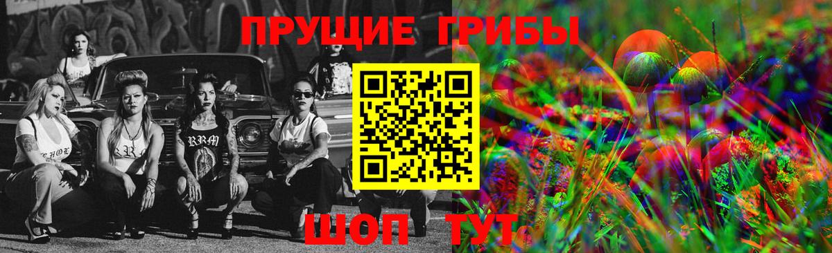 Галлюциногенные грибы GOLDEN TEACHER Ивантеевка